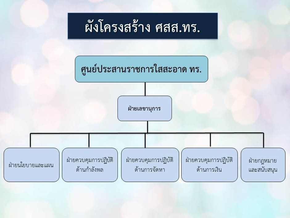 Organization Structure
