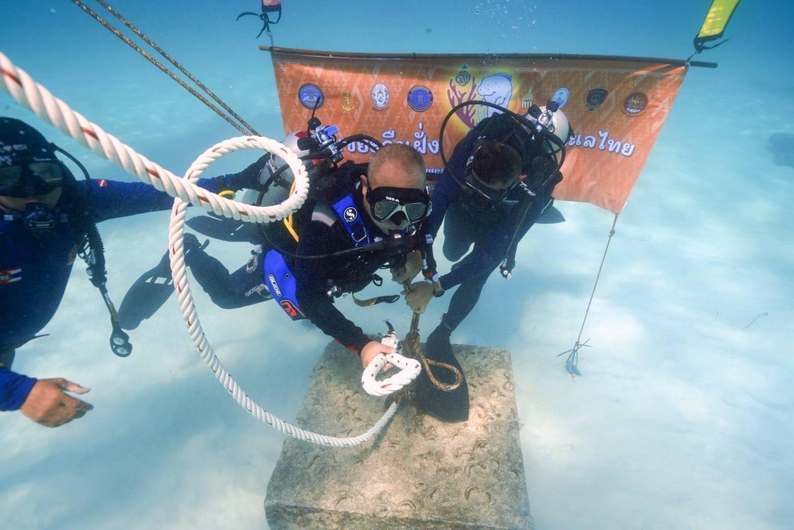 481248313_1022955263196732_6599194603623032713_n.jpg
